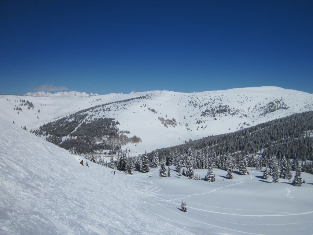 Vail back bowls and Mongollia Bowls seen from Blue Sky Basin