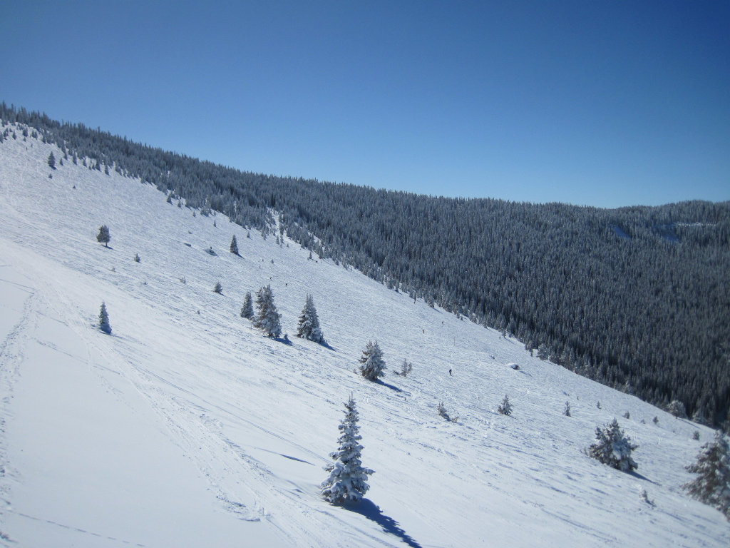 sunny ski day at blue sky basin earls bowl at vail