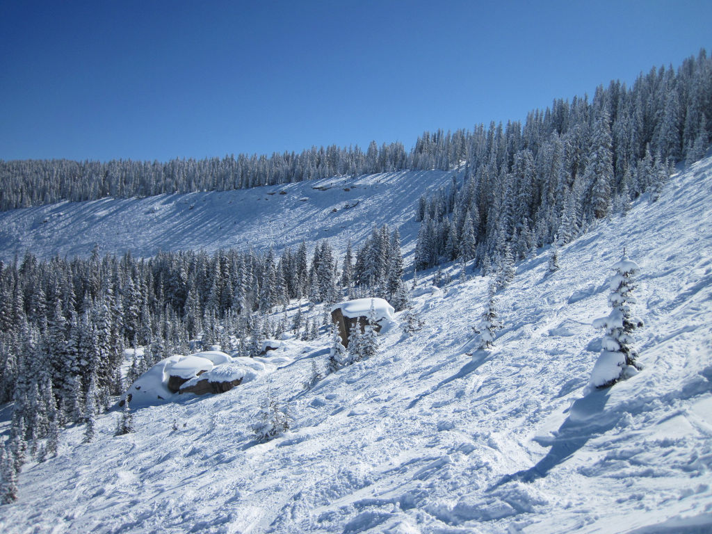 Skree Field trail at Blue Sky Basin in Vail, Colorado