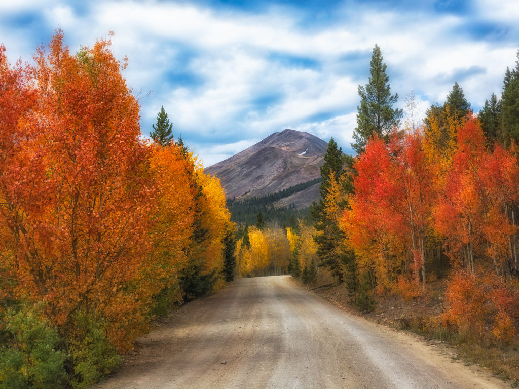 Boreas Pass road near Breckenridge showing fall aspen trees on dirt road