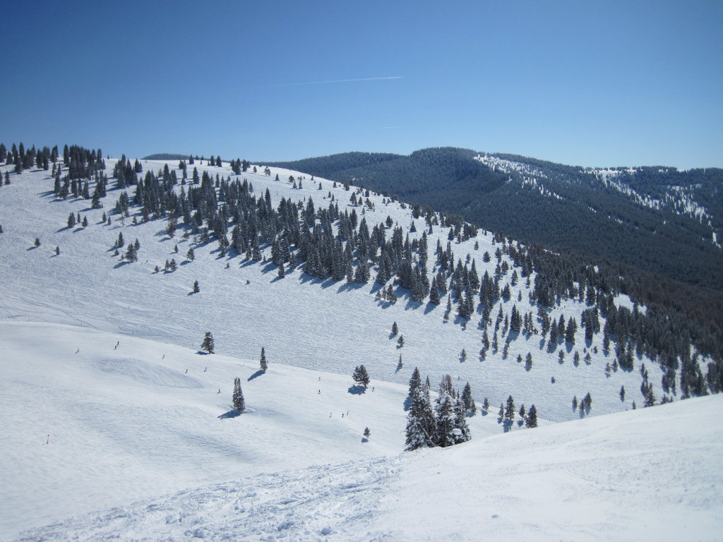 China Bowl eastern side with Poppyfields glades