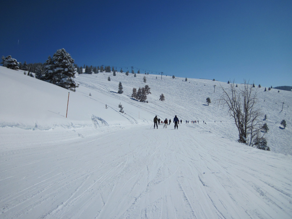 traverse ski road back to Blue Sky Basin from front side of Vail Ski Resort