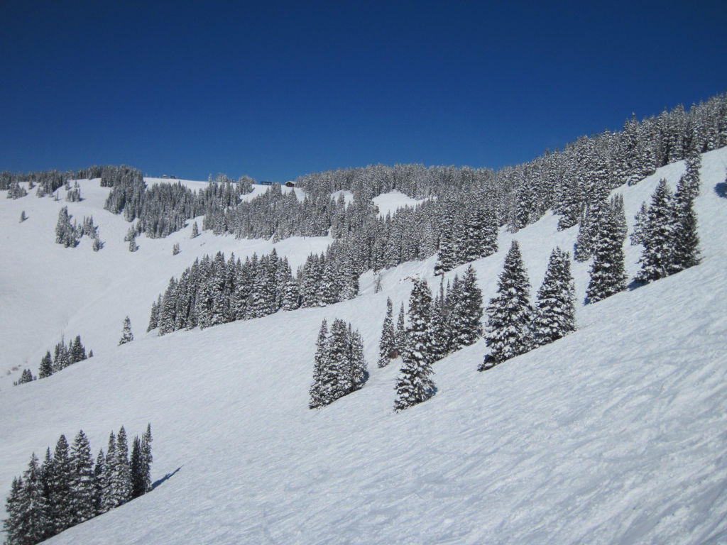 Sun Down Bowl at Vail Back Bowls seen on a sunny blue bird day