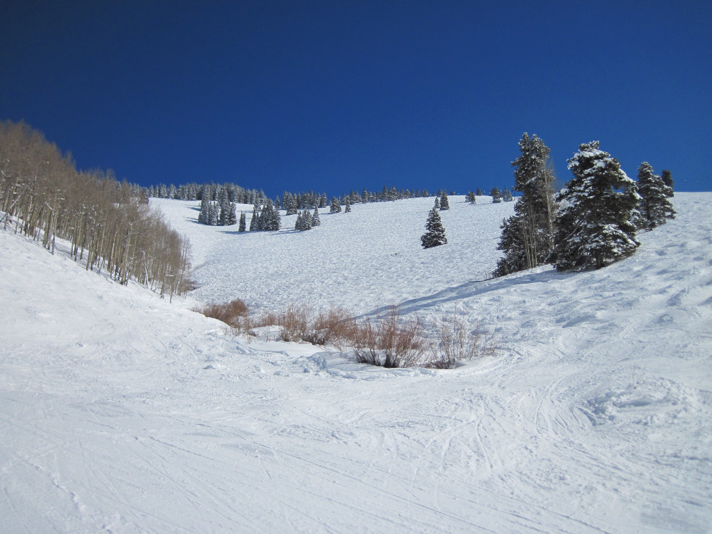 Vail Sun Down Bowl looking upwards