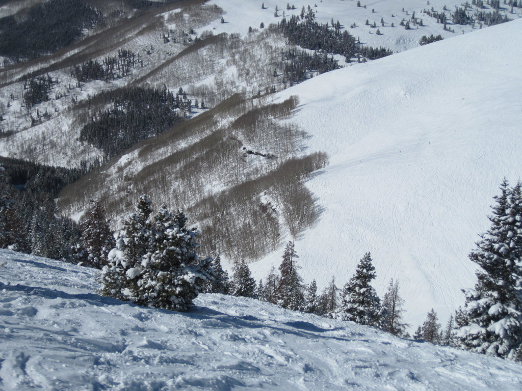 Lower part of the Sun Up Bowl in Vail's Back Bowls