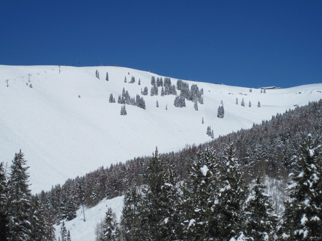 Vail China Bowl from below in Vail's Back Bowls