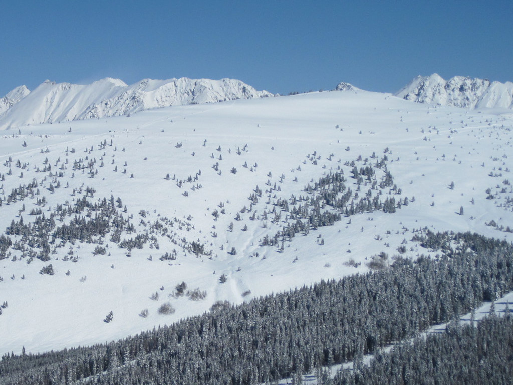 Inner and Outer Mongolia Bowls