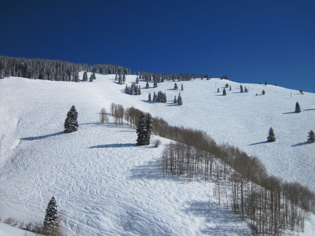 Vail Sun Down Bowl eastern side