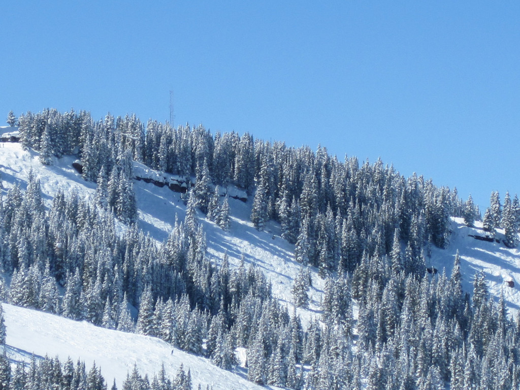 North Rim ski trail at Vail with cliff on sunny winter powder day