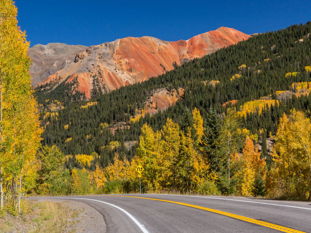 Aspen trees turning colors in fall on Red Mountain Pass in Colorado