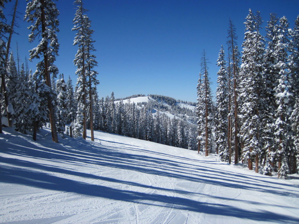 ski terrain near top of Vail Mountain on the frontside