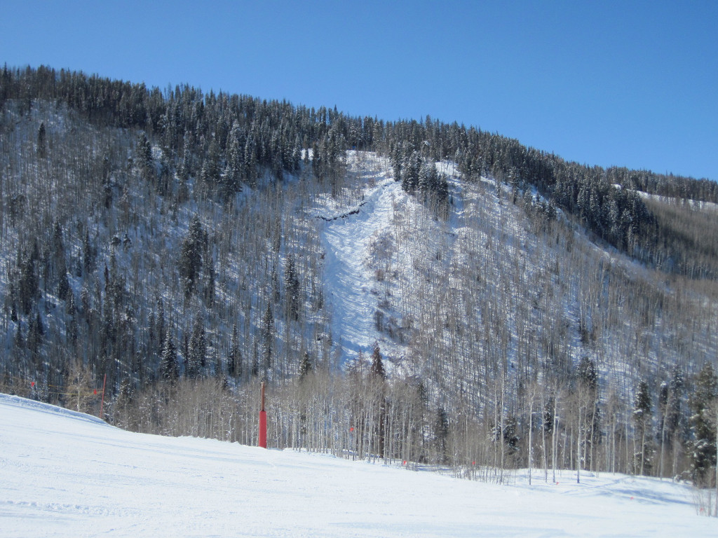 Vail ski trails named Mudslide and t he Frontside Chutes