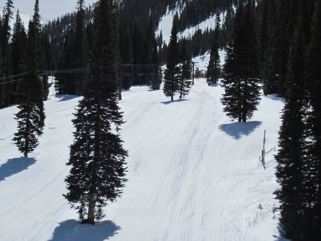 Shoo Fly beginner ski trail at Winter Park