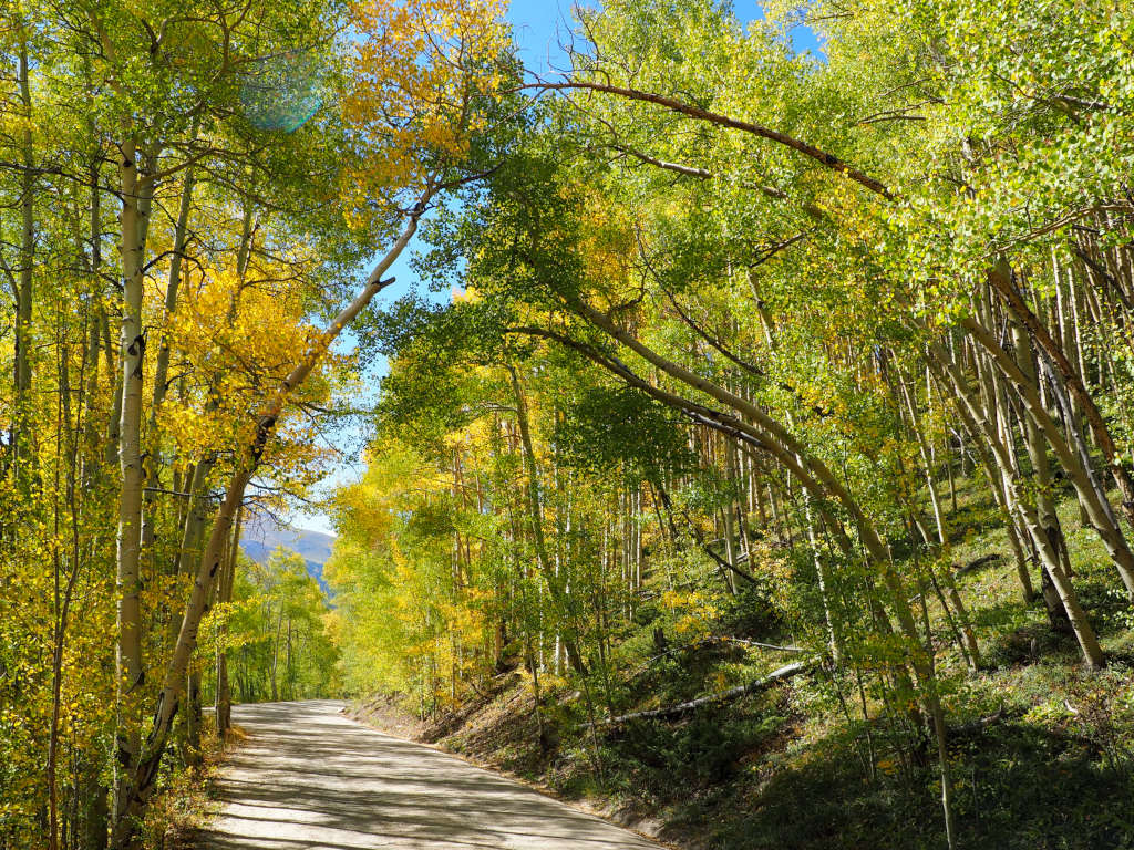 Boreas Pass dirt road on Continental Divide with aspen trees