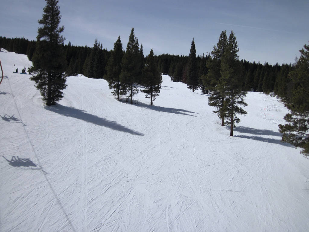 easy gladed beginner ski trail at copper mountain