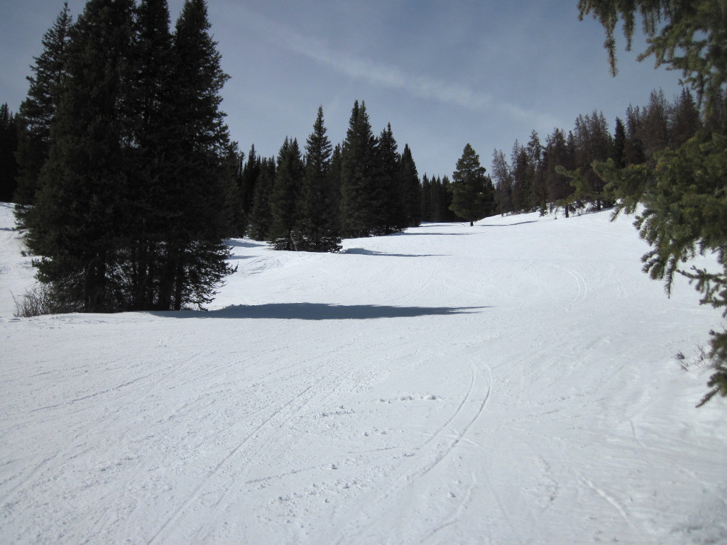 beginner skiing in trees at Copper Mountain Ski Resort