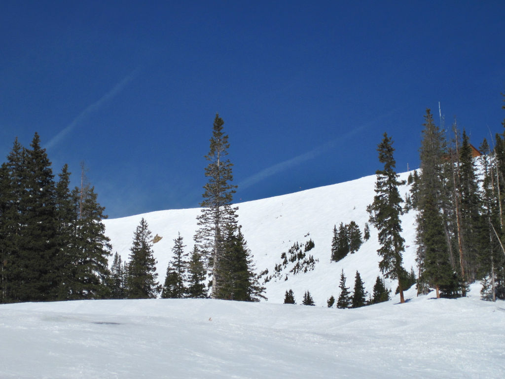 Hodson's Cut ski trail in Spaulding Bowl