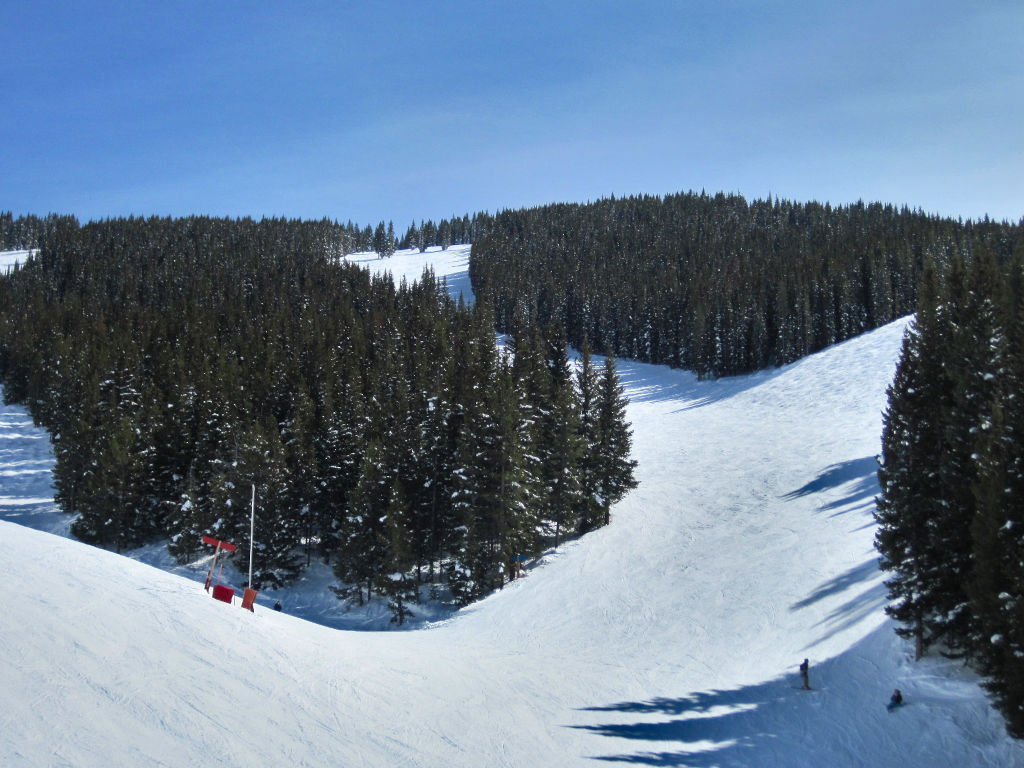 The Woods and Baccarat ski trails in Game Creek Bowl