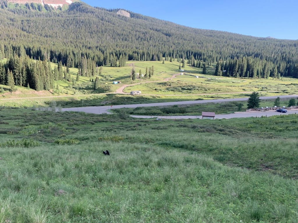 Lizard Head Pass camping during summer season