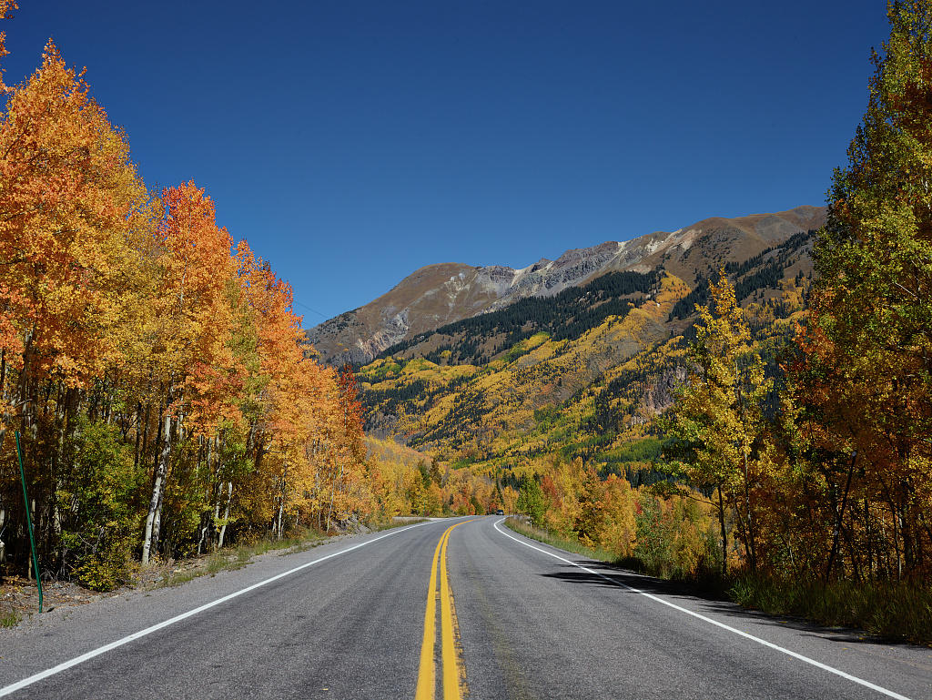 autumn along US 550 aka Million Dollar Highway