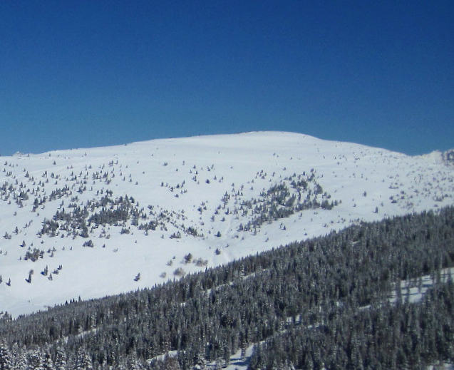 Mongolia Bowls in Vail Back Bowls