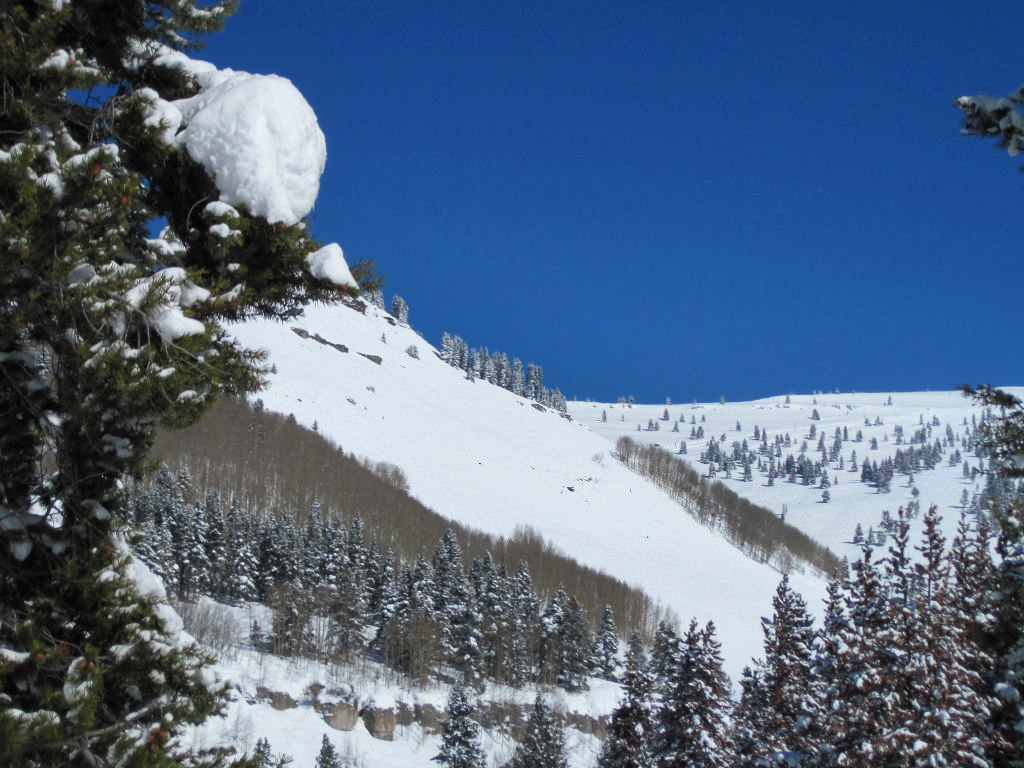 Siberia Bowl at Vail Backbowls