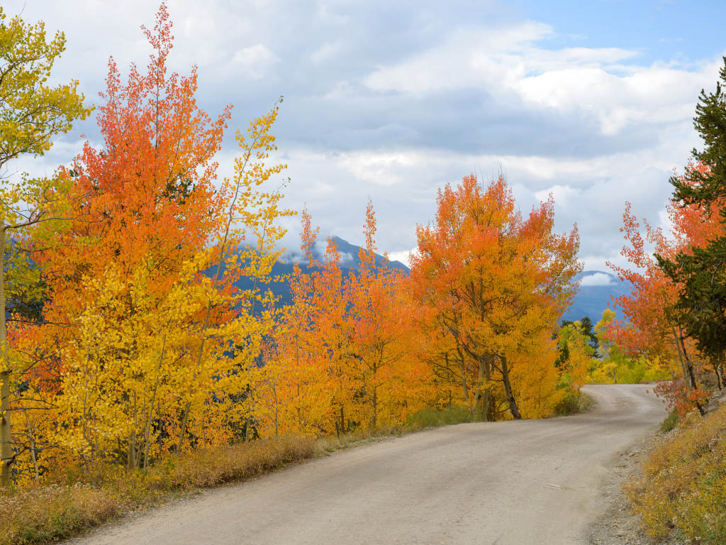 Boreas Pass in autumn