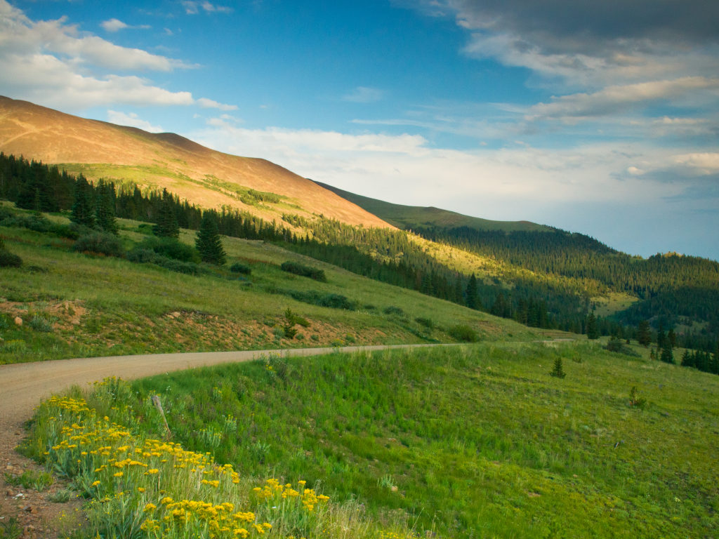 Boreas Pass in the summer going over Continental Divide with grass meadows