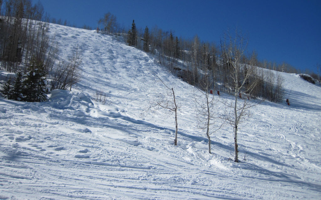 Head First and Pepi's Face ski trails on the front side of Vail