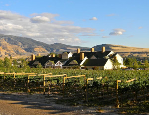 Wine Country Inn in Palisade, Colorado