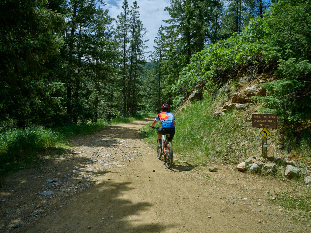 Colorado mountain biking on a trail in summer