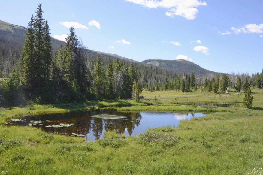 La Poudre Pass Photos, Info, History | Coloradotopia