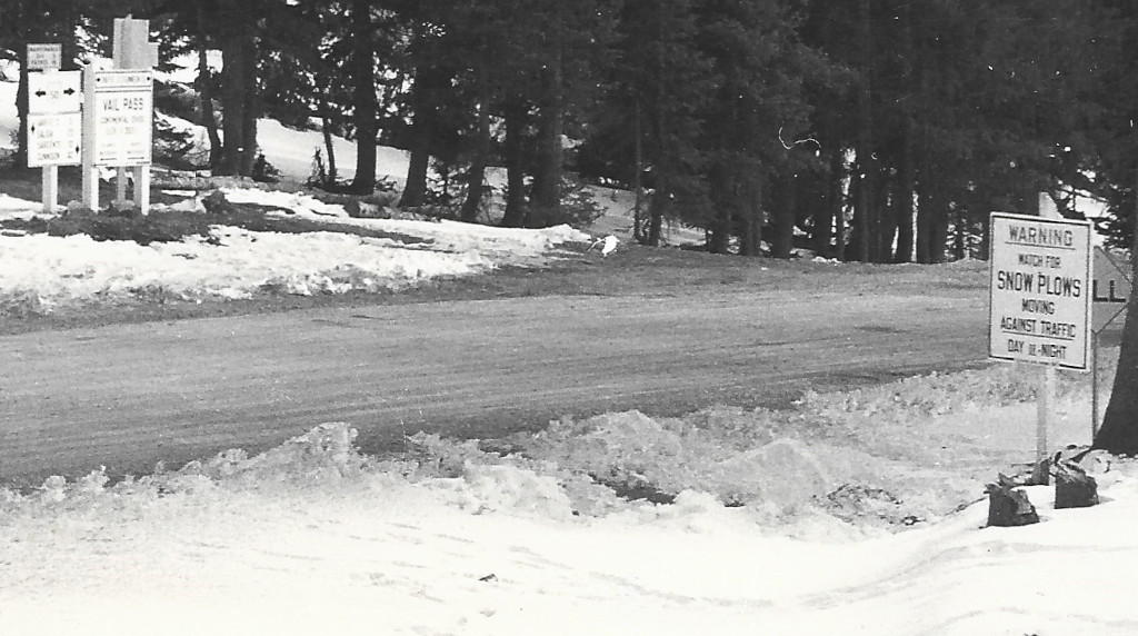 best zoomed in view of monarch pass Continental Divide sign postcard ID CMO-W-1580​ summit of Monarch Pass when Vail Pass sign was here in 1939