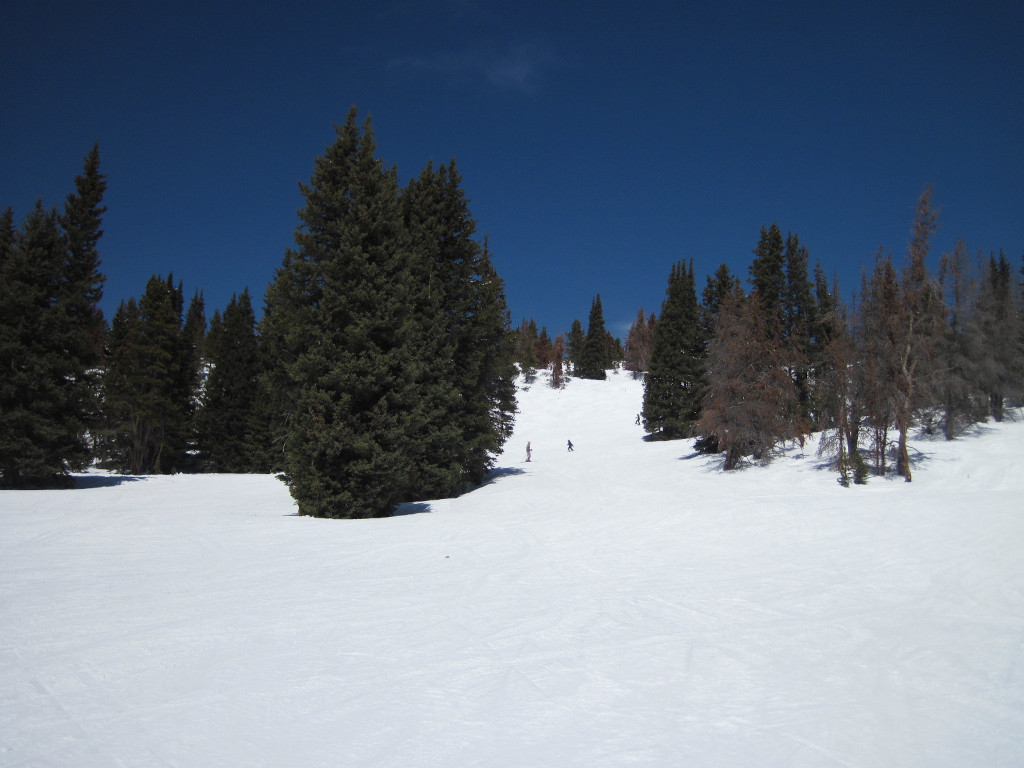 lower Parsenn Bowl at Winter Park skiing in the trees