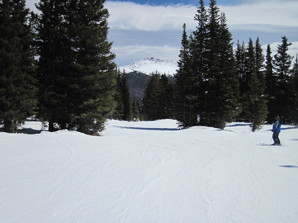 easy tree skiing in Winter Park Parsenn Bowl