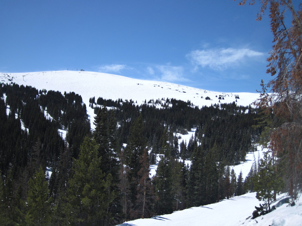 Lower Parsenn Bowl trails including Forget Me Not and Juniper and Larkspur ski trail