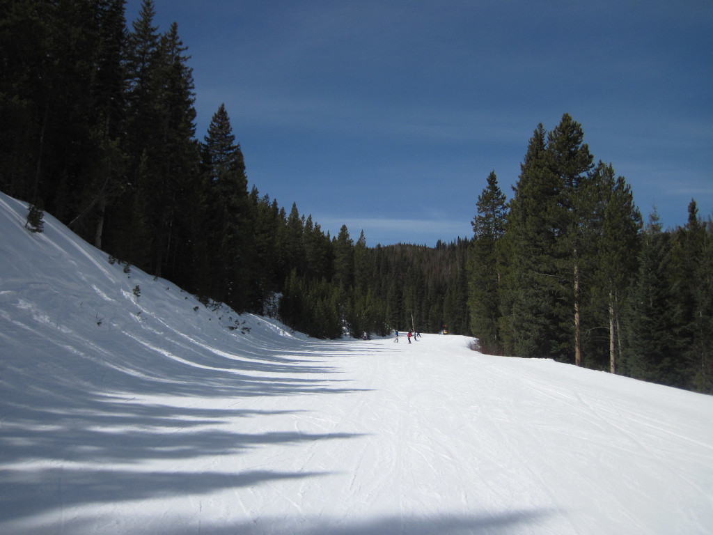 Looking up Turnpike beginner ski trail