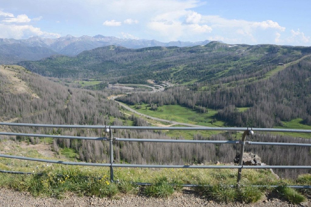 Lobo Overlook on the Continental Divide at Wolf Creek Pass